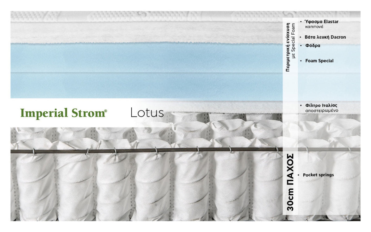 LOTUS