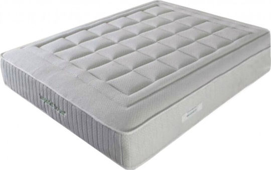 NOSTALGIA